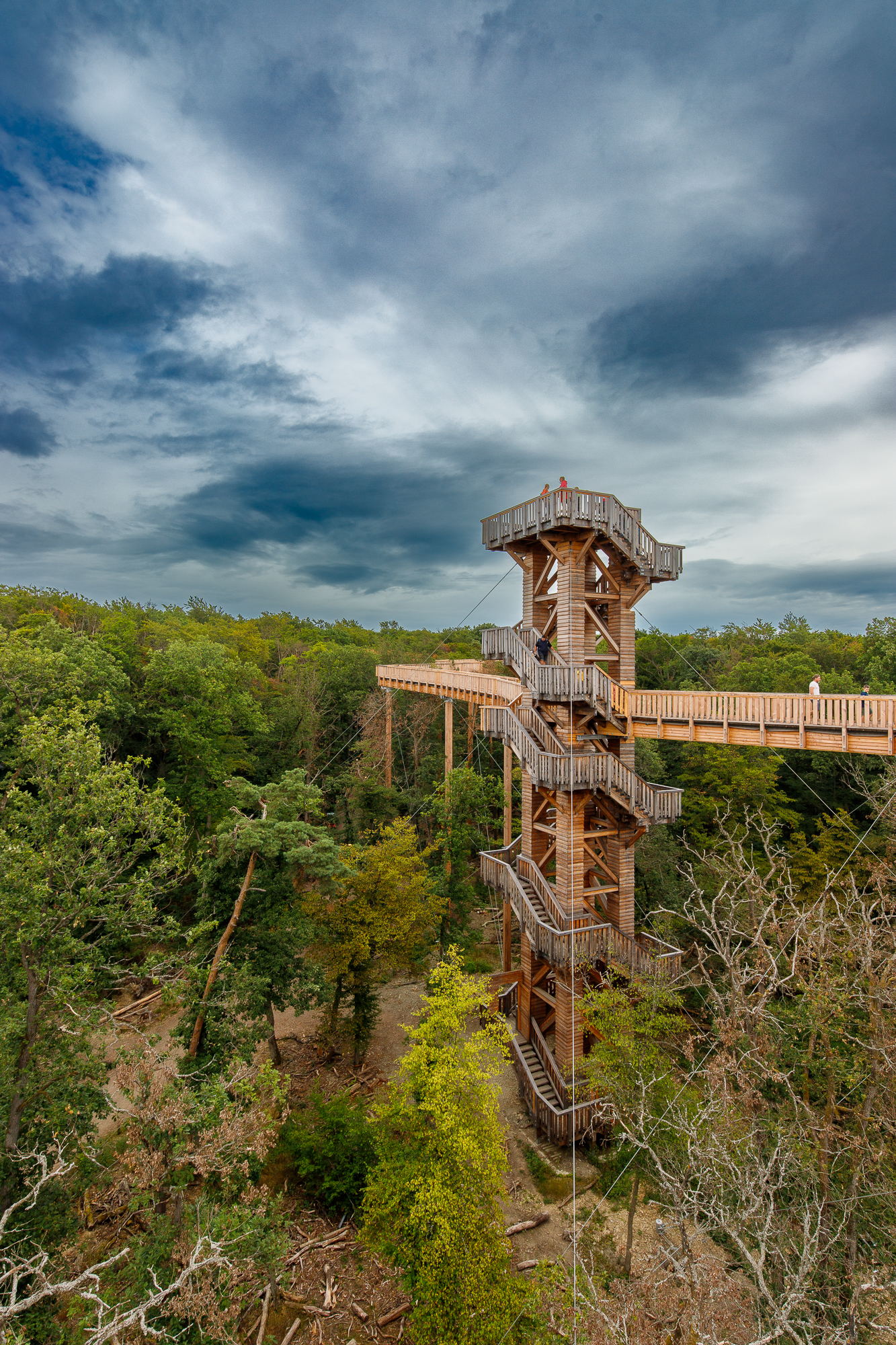 Baumwipfelweg Bad Camberg